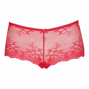DAILY LACE HIPSTER 05 ROOD