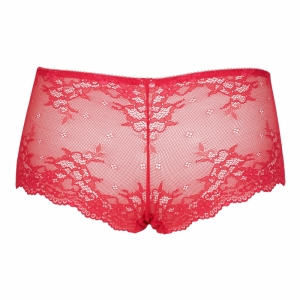 DAILY LACE HIPSTER 05 ROOD