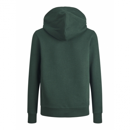 130330 Sweat Hood Pine Grove JR