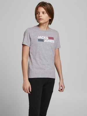 JJECORP LOGO TEE SS CREW NECK Light Grey Play
