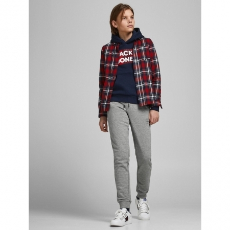 JJIGORDON JJSHARK SWEAT PANTS 179085 Light Gr