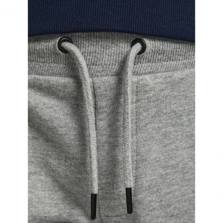 JJIGORDON JJSHARK SWEAT PANTS 179085 Light Gr