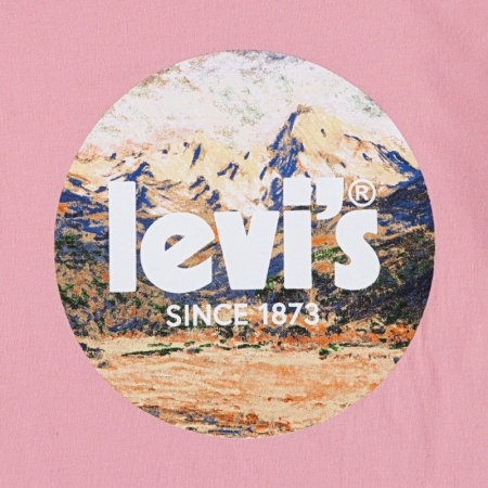 SS POSTER LOGO TEE ACS