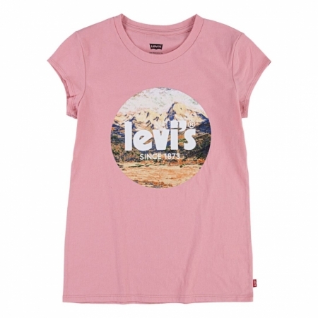 SS POSTER LOGO TEE ACS