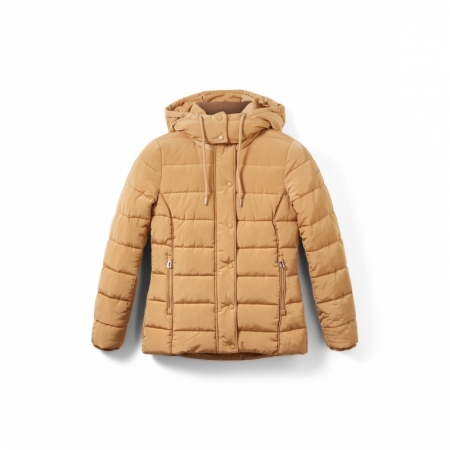 27841 soft ligh