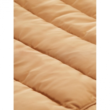 27841 soft ligh