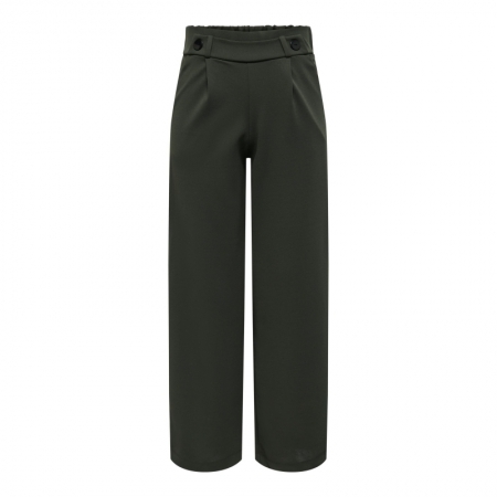 JDYGEGGO NEW LONG PANT JRS NOO 186898001 Peat/