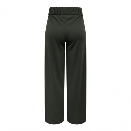 JDYGEGGO NEW LONG PANT JRS NOO 186898001 Peat/