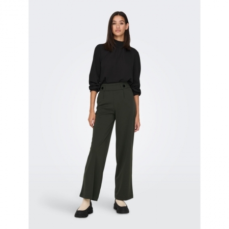 JDYGEGGO NEW LONG PANT JRS NOO 186898001 Peat/