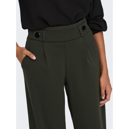 JDYGEGGO NEW LONG PANT JRS NOO 186898001 Peat/