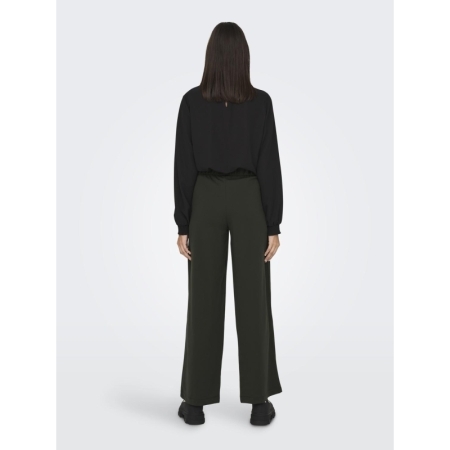 JDYGEGGO NEW LONG PANT JRS NOO 186898001 Peat/