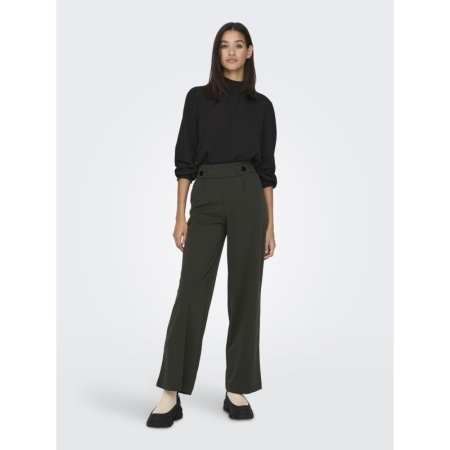JDYGEGGO NEW LONG PANT JRS NOO 186898001 Peat/