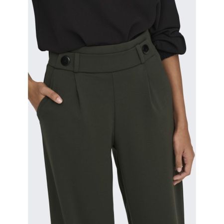 JDYGEGGO NEW LONG PANT JRS NOO 186898001 Peat/