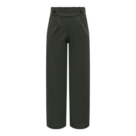 JDYGEGGO NEW LONG PANT JRS NOO 186898001 Peat/