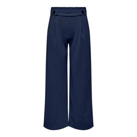 JDYGEGGO NEW LONG PANT JRS NOO Black Iris