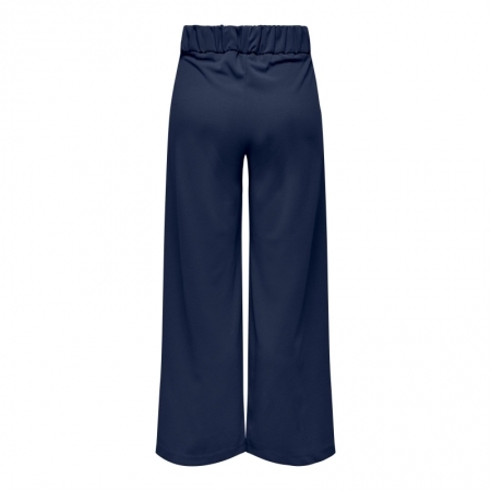 JDYGEGGO NEW LONG PANT JRS NOO Black Iris