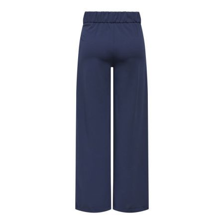 JDYGEGGO NEW LONG PANT JRS NOO Black Iris