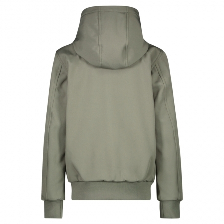  18 Olive
