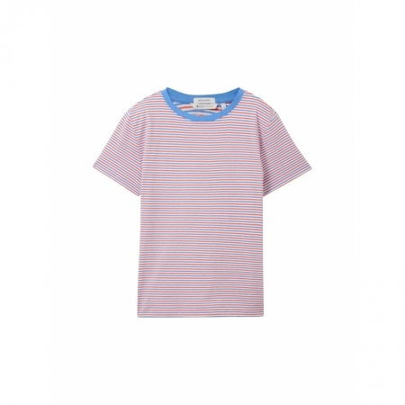  34684 blue red