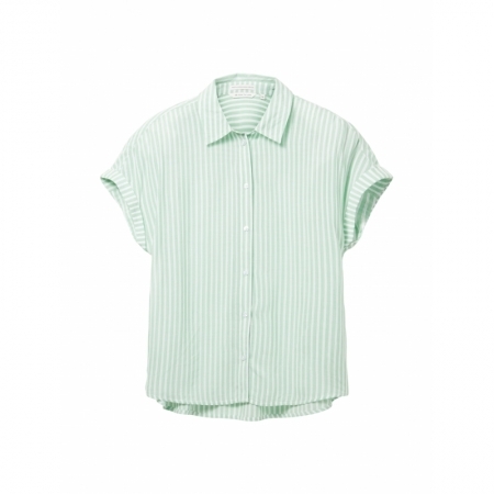 31202 green whi