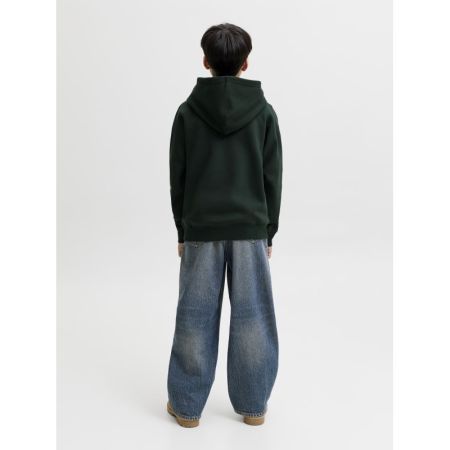 JJESTAR JJ SWEAT HOOD NOOS JNR 177578 Scarab