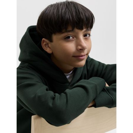 JJESTAR JJ SWEAT HOOD NOOS JNR 177578 Scarab