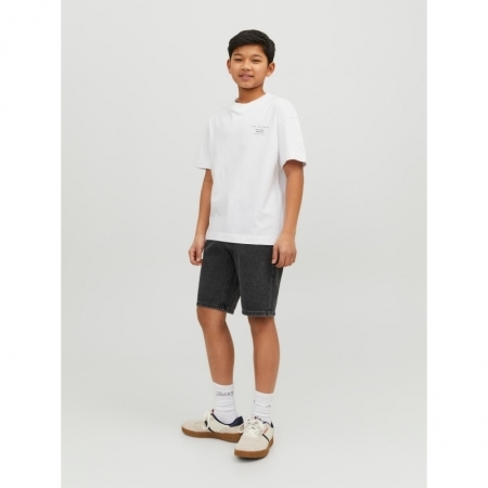 JJICHRIS JJORIGINAL SHORTS MF 188778 Grey Den