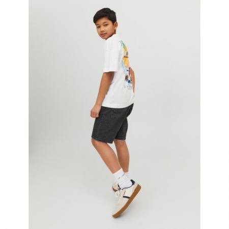 JJICHRIS JJORIGINAL SHORTS MF 188778 Grey Den