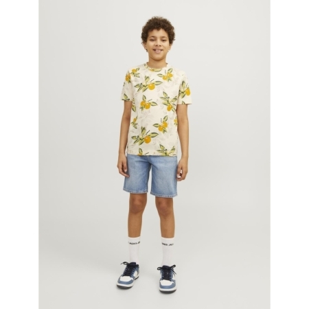 JJICHRIS JJORIGINAL SHORTS MF 188779 Blue Den