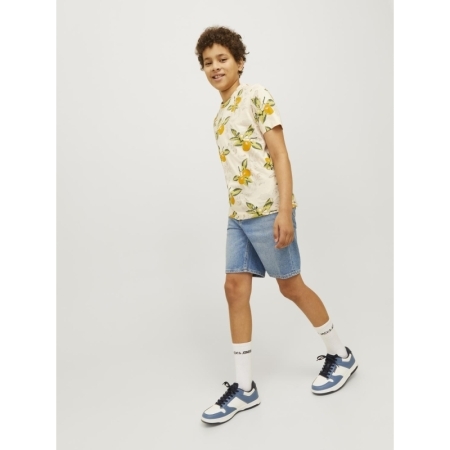 JJICHRIS JJORIGINAL SHORTS MF 188779 Blue Den