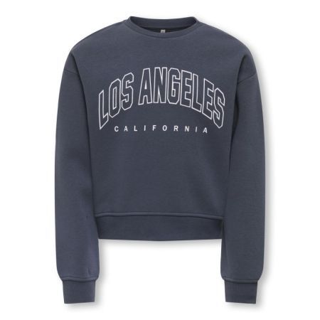KOGSWEAT LIFE LS CREW OVZ STAT 189778001 Ombre