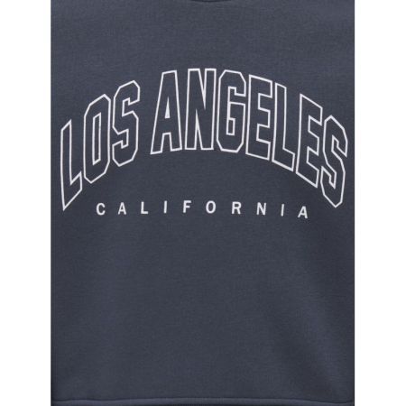 KOGSWEAT LIFE LS CREW OVZ STAT 189778001 Ombre
