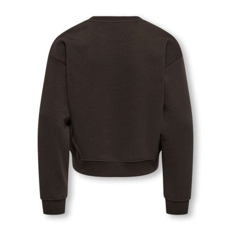 KOGSWEAT LIFE LS CREW OVZ STAT 237375006 Coffe