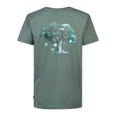 6178 Green Smok
