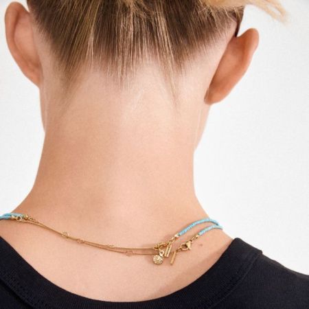  blue/gold-plate