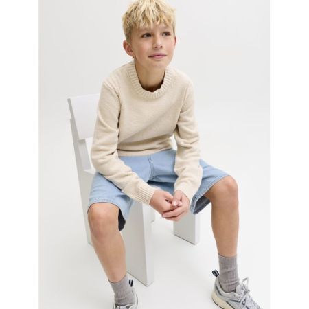 JJIALEX JJORIGINAL SHORTS SQ 7 188779 Blue Den