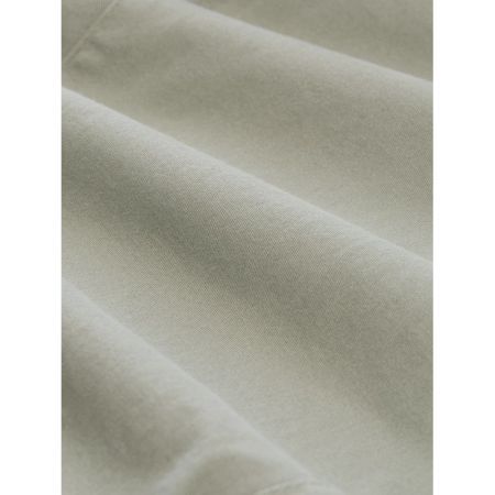 10767 Greyish S