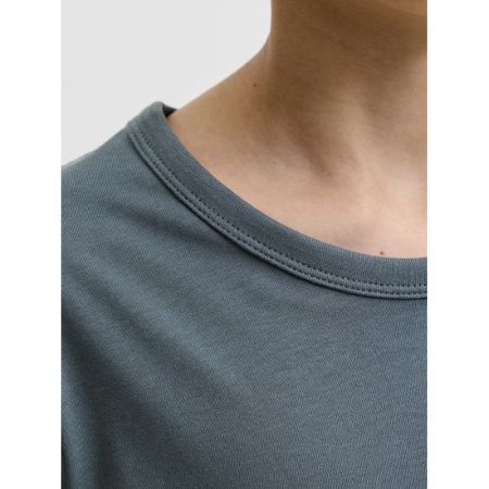 JJCLEVELAND TEE SS CREW NECK S 176720 Turbulen
