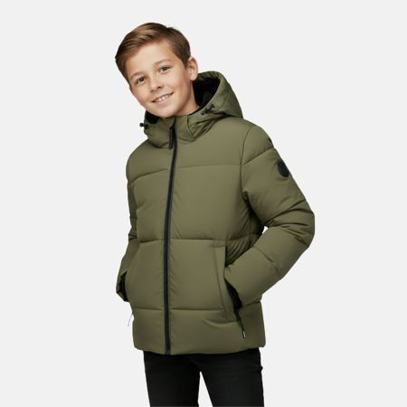  18 Olive