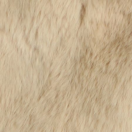  BG Beige