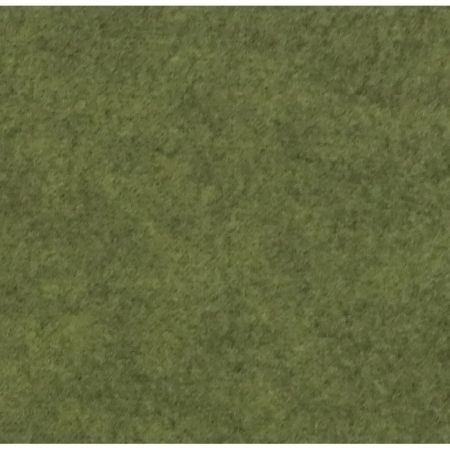  GN Green