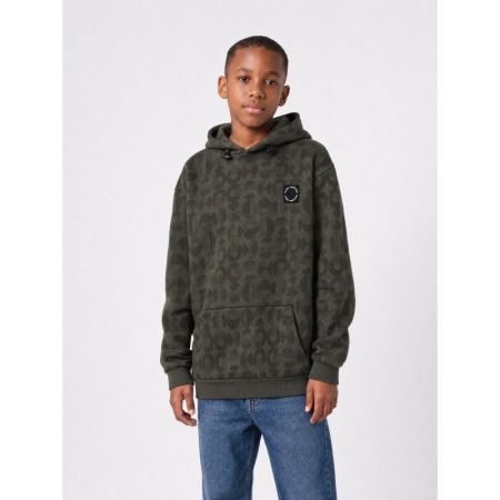 9066 Beluga