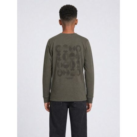 9066 Beluga