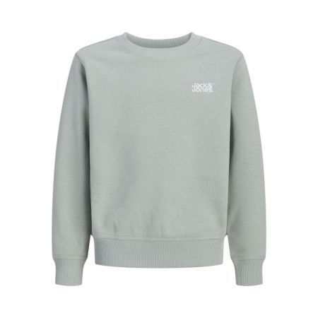 JJECOLTON SWEAT CREW NECK SN J 176695 Slate Gr