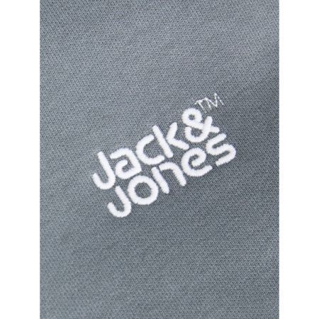 JJECOLTON SWEAT CREW NECK SN J 176707 Stormy W