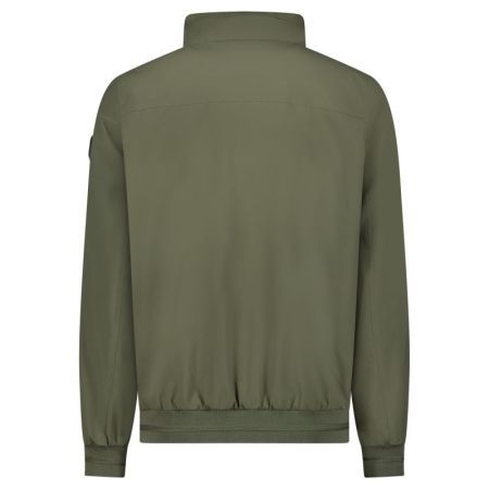  18 Olive