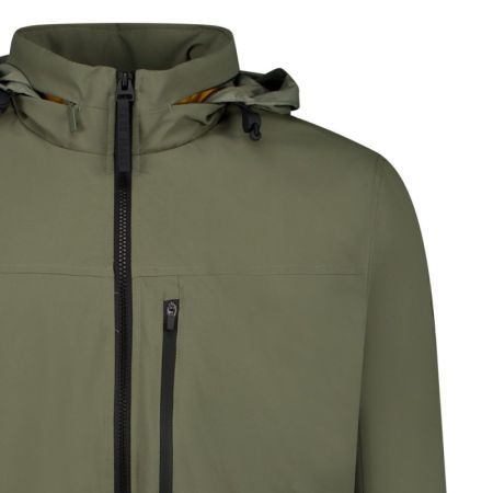  18 Olive