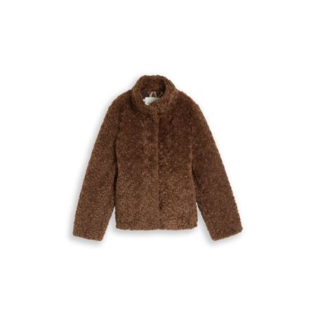 41102 camel