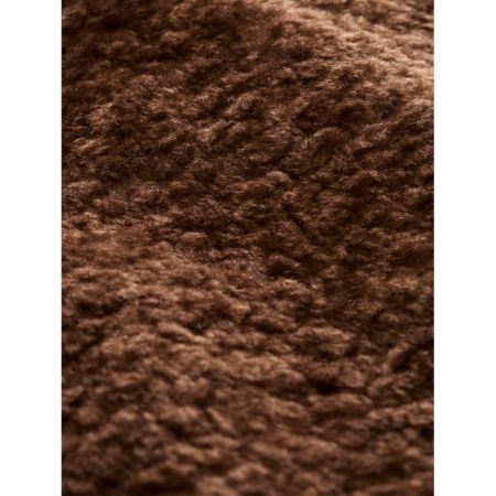 41102 camel